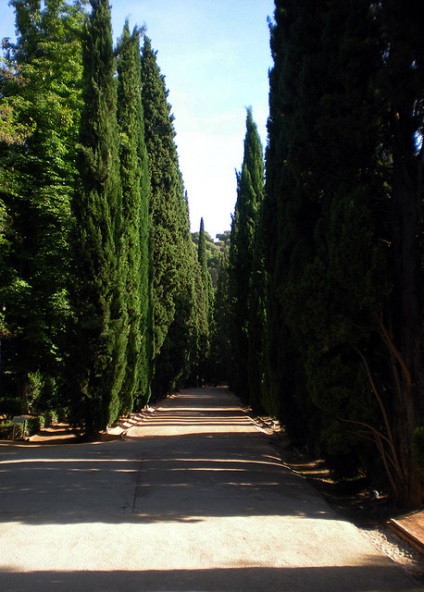 Generalife kertek Granada, Spanyolország (30 fotó)