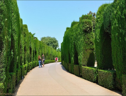 Generalife kertek Granada, Spanyolország (30 fotó)