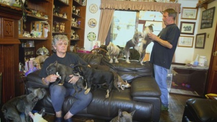 Un cuplu căsătorit conține la domiciliu 41 de câini