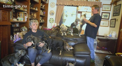 Un cuplu căsătorit locuiește cu 41 de câini - o pungă