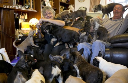 Un cuplu căsătorit locuiește cu 41 de câini - o pungă