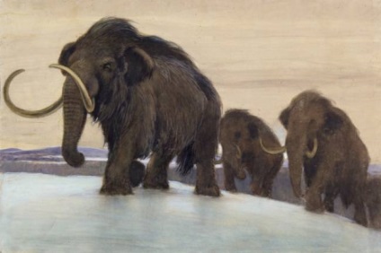 Ciobanii siberieni - mamutii si dinozaurii - stiri