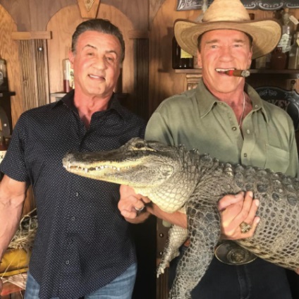 Sylvester Stallone kiadott egy ritka fotót Arnold Schwarzenegger, pletyka