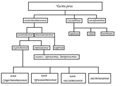 Câte părți ale discursului în limba rusă