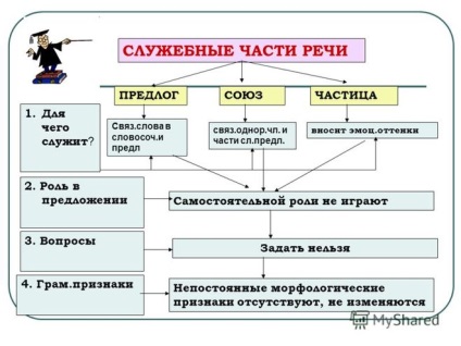 Câte părți ale discursului în limba rusă