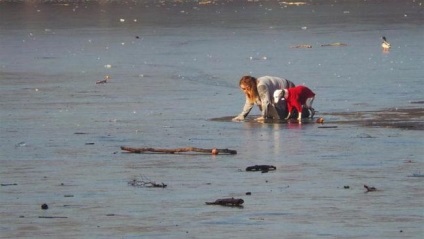 O femeie curajoasă a salvat un câine care a căzut prin gheață, umkra