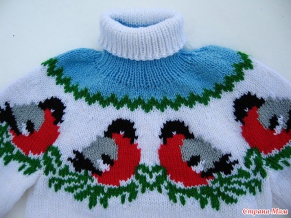 Bullfinch și pinguini) o pălărie și un pulover cu o descriere