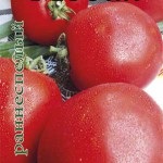 Tomato Tomato Semințe de tomate