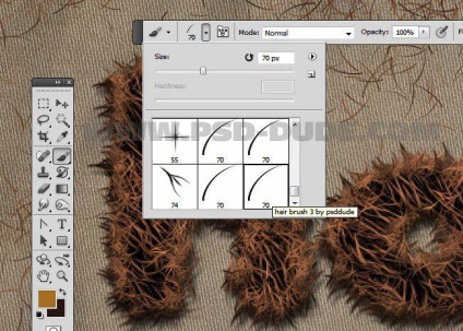 Creați text din blană și păr în Photoshop