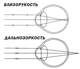 Structura ochiului uman - articole pe site - optica Victoria