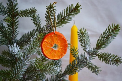 Szárítsuk meg a citrus - készítünk egy ünnepi dekoráció