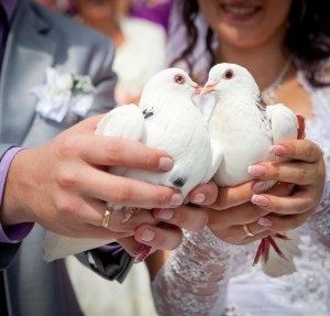 Esküvői jelzéseket a menyasszony és a vőlegény