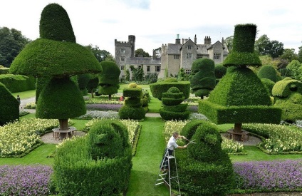 Topiary - arta tăierii figurative a copacilor, pe drum!