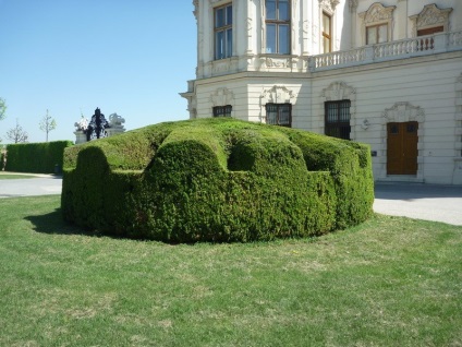 Topiary - arta tăierii figurative a copacilor, pe drum!