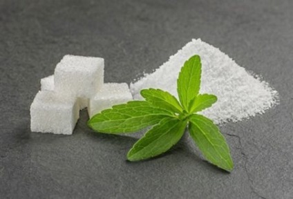 Herb Stevia - descriere, beneficiu și rău, aplicare