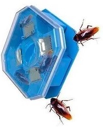 Pentru a otrăvi gândacii să otrăvească gândaci într-un apartament Moscova și regiune