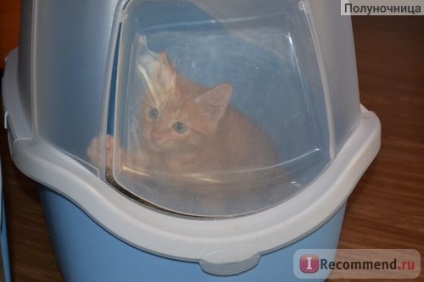 Casa de toaletă pentru pisici stefanplast cathy ușor de curățat cu un filtru de carbon - 