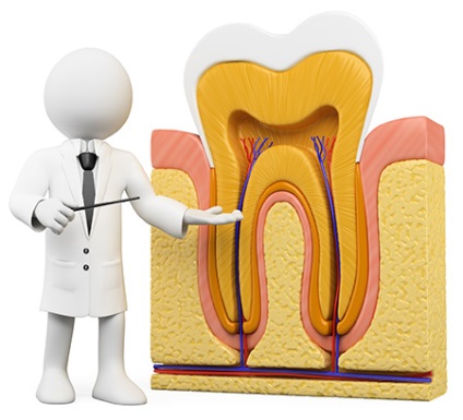 Îndepărtarea nervului dentar - prețul la îndepărtarea este necesar, dintele doare după îndepărtarea nervului - de ce,
