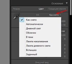 13. lecke, hogyan kell beállítani a fehéregyensúlyt a Lightroom - tanulságok Lightroom és a Photoshop