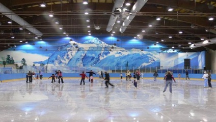 Dispozitiv de patinaj cu gheata artificiala - despre cum se face gheata pe un patinoar