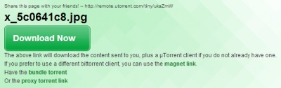 5 sfaturi utile de la Bittorrent inc