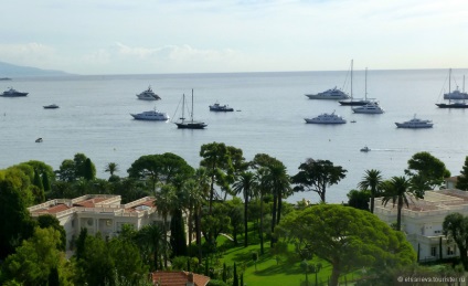 Вілла Ефруссі де Ротшильд (villa ephrussi de rothschild), відгук від туриста elsarieva на