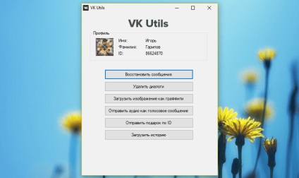 Vk utils 2