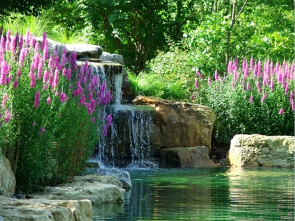 Cascade și cascade farmecul de a cădea apă