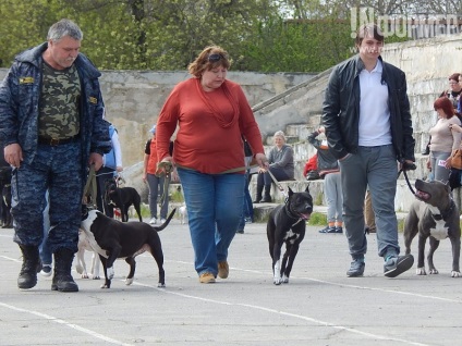 În Sevastopol, o expoziție de câini (foto)