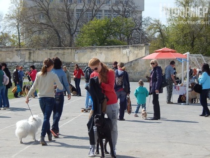 În Sevastopol, o expoziție de câini (foto)