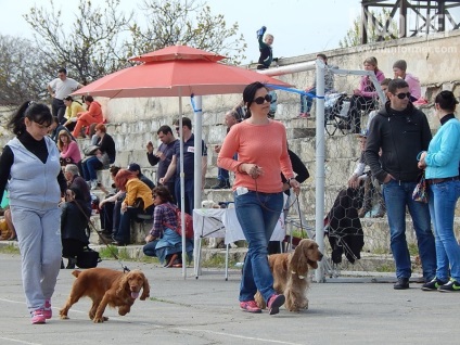 În Sevastopol, o expoziție de câini (foto)