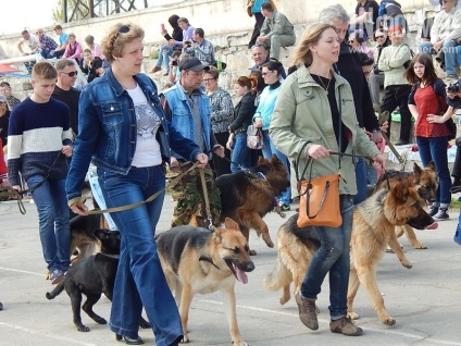 În Sevastopol, o expoziție de câini (foto)