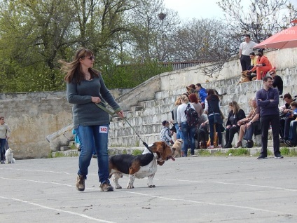 În Sevastopol, o expoziție de câini (foto)