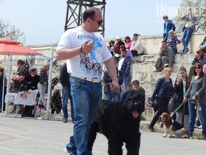 În Sevastopol, o expoziție de câini (foto)