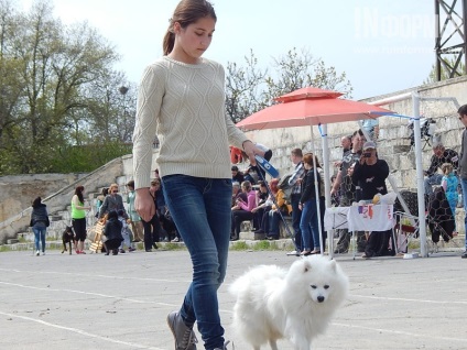 În Sevastopol, o expoziție de câini (foto)