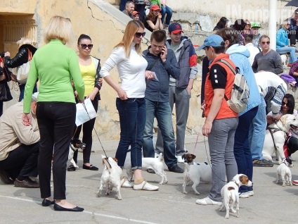 În Sevastopol, o expoziție de câini (foto)