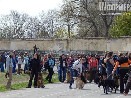 În Sevastopol, o expoziție de câini (foto)