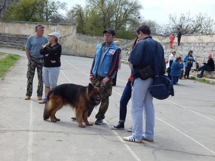 În Sevastopol, o expoziție de câini (foto)