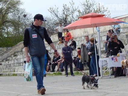 În Sevastopol, o expoziție de câini (foto)