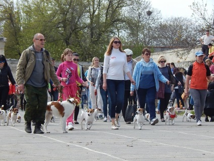 În Sevastopol, o expoziție de câini (foto)