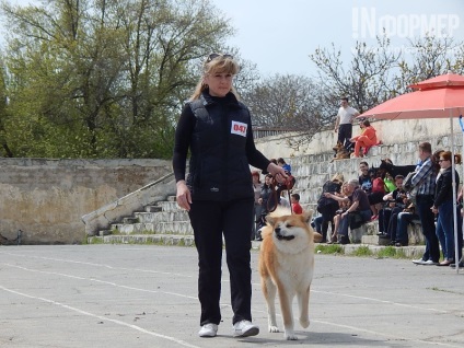 În Sevastopol, o expoziție de câini (foto)