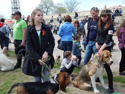 În Sevastopol, o expoziție de câini (foto)