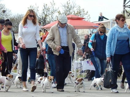 În Sevastopol, o expoziție de câini (foto)