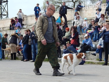 În Sevastopol, o expoziție de câini (foto)