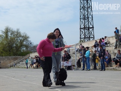 În Sevastopol, o expoziție de câini (foto)