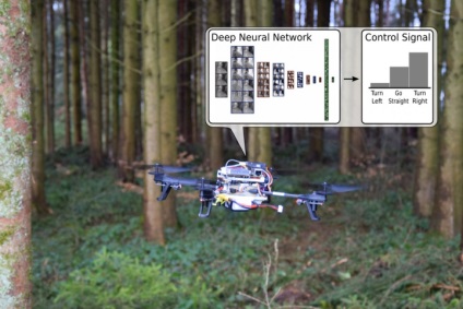 În Elveția a fost creată o dronă, capabilă să caute persoanele pierdute în pădure - high-tech și