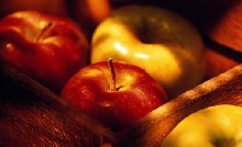 Tárolása alma, hogyan kell tárolni alma - feltételeket, a technológia, a módszerek tárolására alma