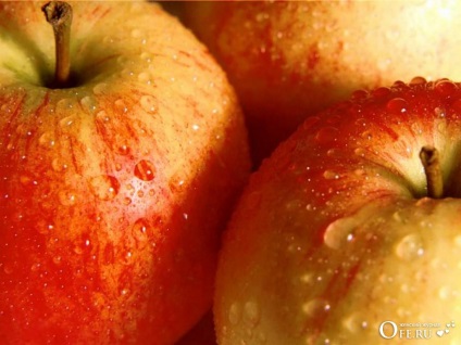 Depozitarea condițiilor de mere, termenii și metodele de procesare