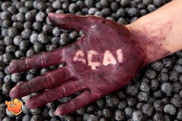 Acai Berry proprietăți