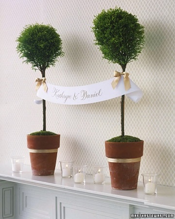 Green topiary pentru acasă - idei, cursuri de masterat
